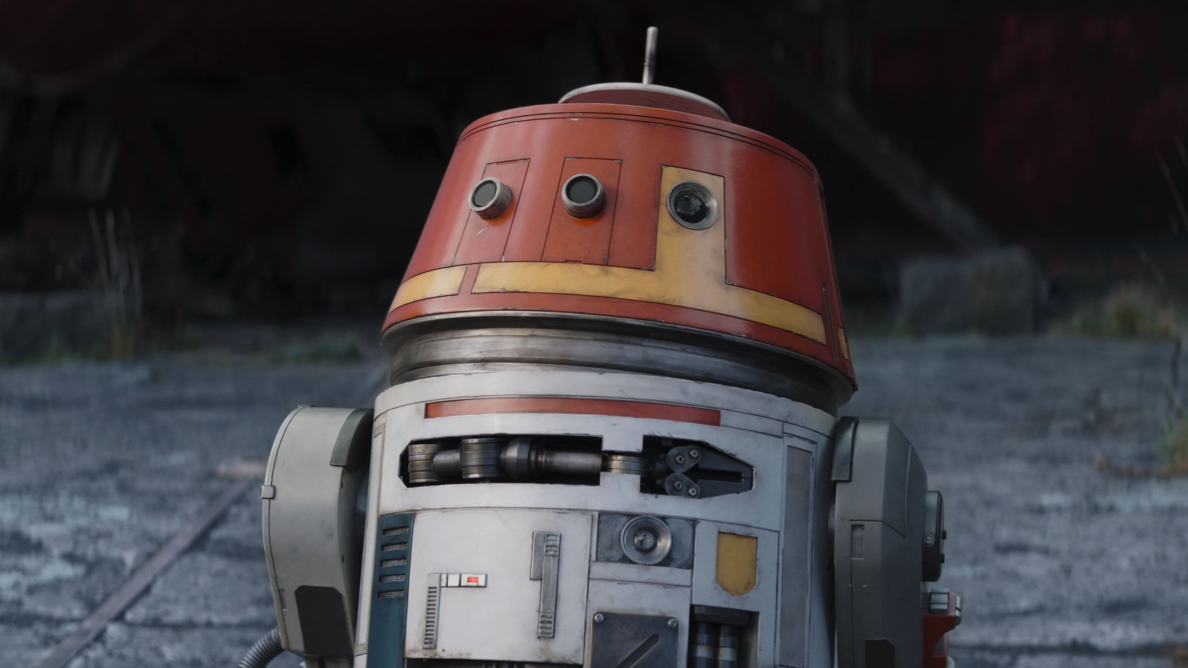 Part Five: Shadow Warrior