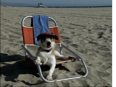 And then there was Eddie