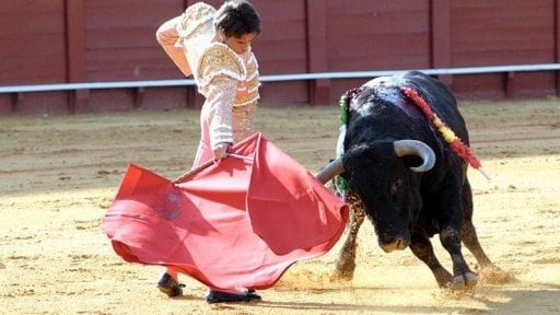 Episodio 81