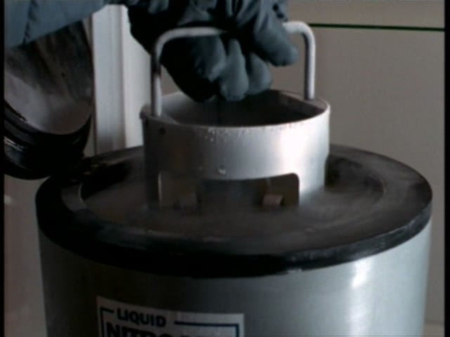 Behind the truth - The Erlenmeyer flask