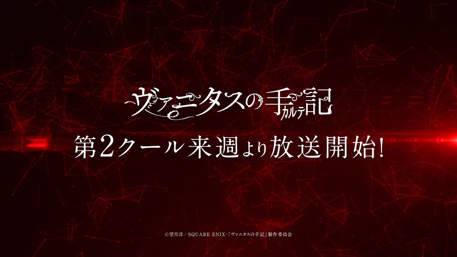 The Case Study of Vanitas 12.