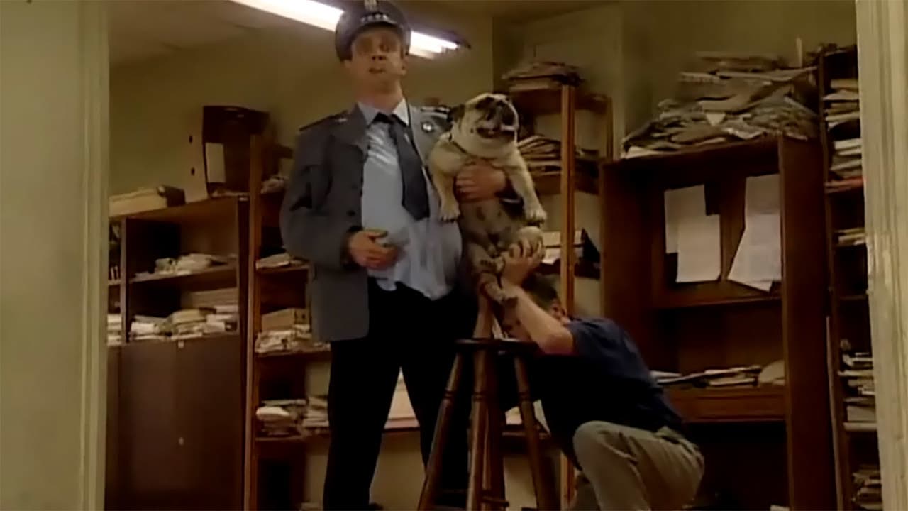 Tylko dla doros&lstrok;ych