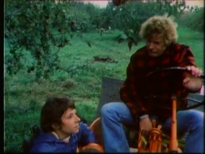 Le petit z&egrave;bre