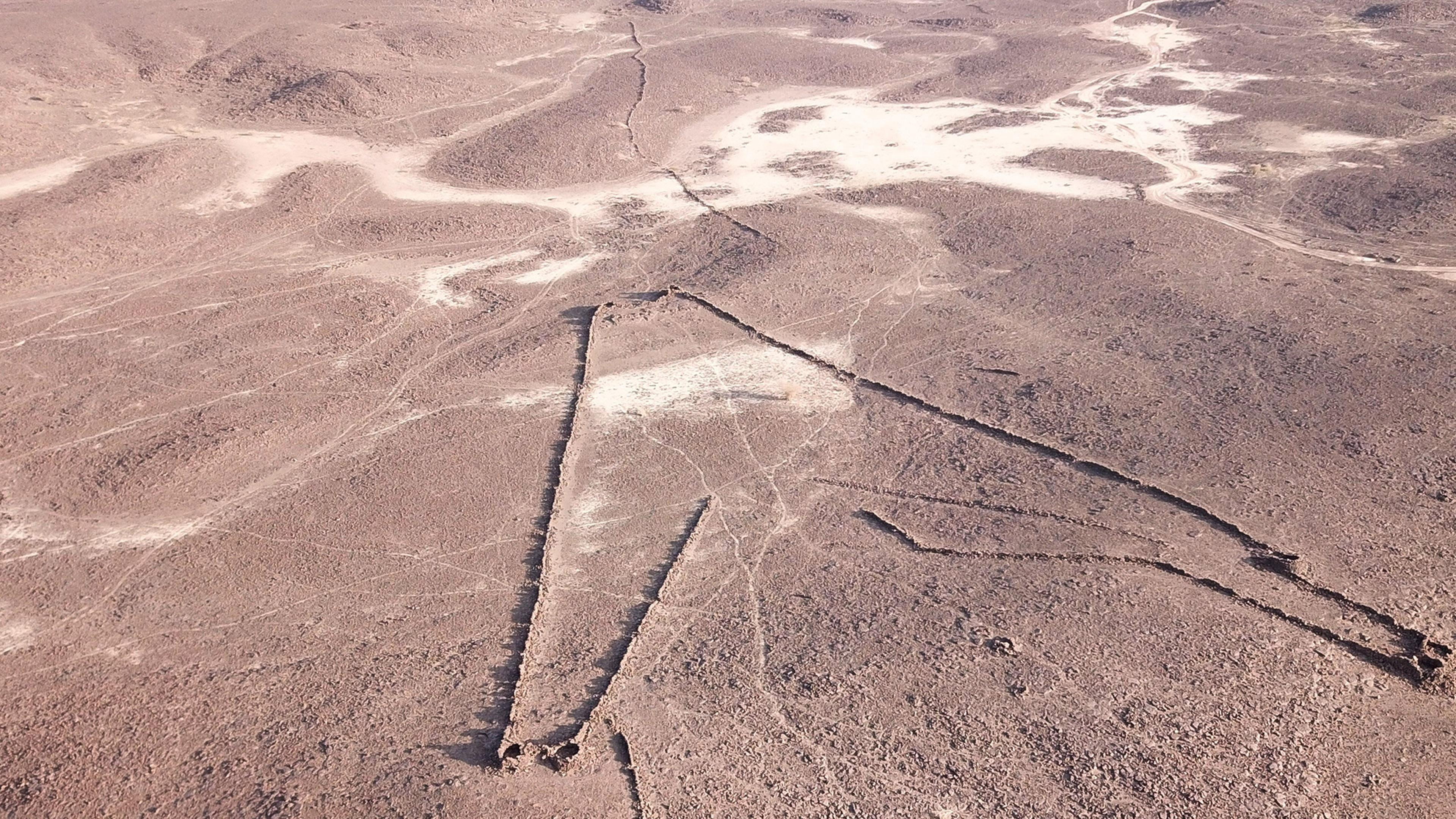 Trampa mortal del desierto antiguo