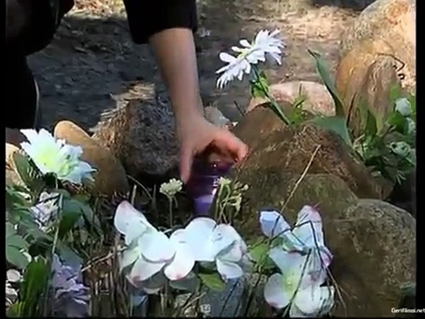 Episodio sin título